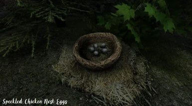 Speckled Chicken Nest Eggs