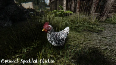 Optional Speckled Chicken 2k