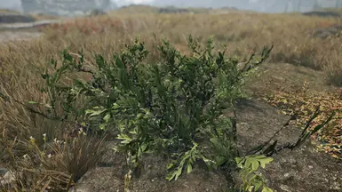 Tundra shrub - green