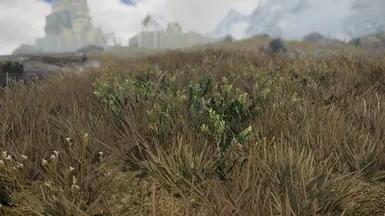 Tundra shrub - green