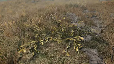 Tundra shrub - yellow