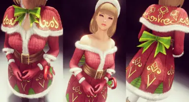 Wintersday Dress Details