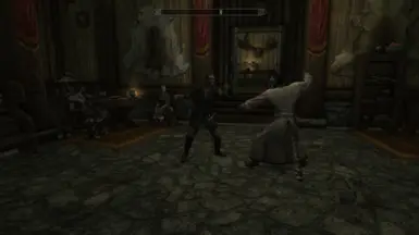 More Immersive NPC Activities - Sparring In The Main Hall