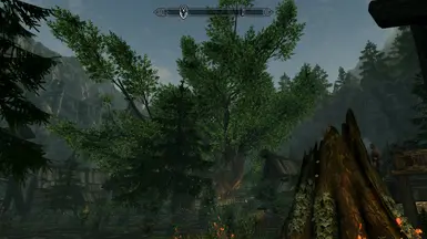 COTN Falkreath Unique Tree