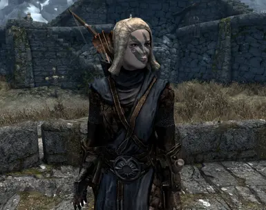 Stormcloak Archer