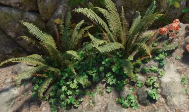 sword ferns and clover