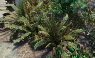 just sword ferns (default clovers)