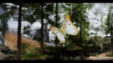 White Peacock