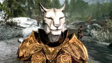 HIMBO Elven Khajiit Neck Area in v1.1