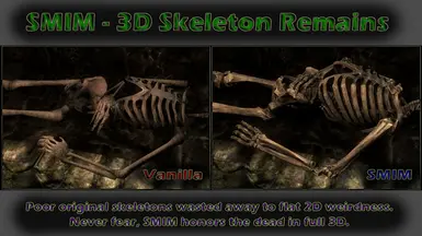 Skeleton Remains Comparison