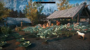 JK's Riften Outskirts - Merryfair Farm