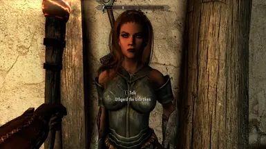 Skyrim-SE Female Follower Overhaul