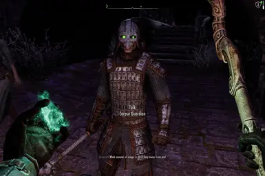 Corpse Guardian matching my spell with the new green eye FX option