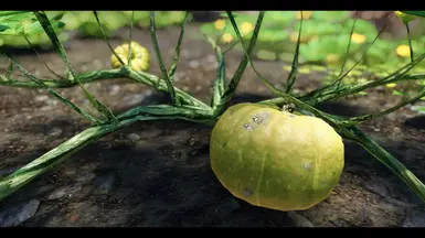 Spring green-yellow pumpkins