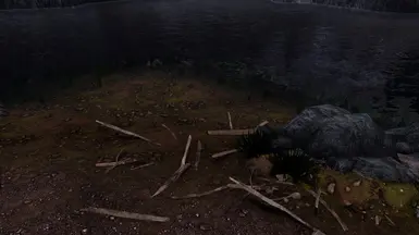 Beach Driftwood