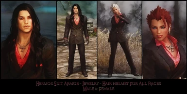 Hermos_suit_armor_clothing