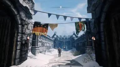 Windhelm Bridge Revived flags