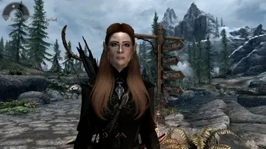 Bosmer previous version