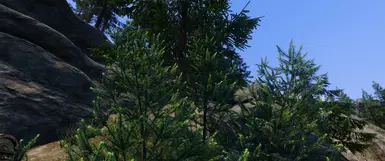 Cathedral - 3D Pine Shrubs