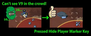 Hide Display Player Marker