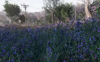 Spring in Appalachia 2.0