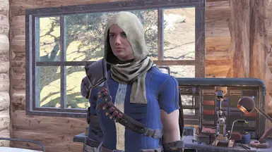 Vault Survivor Hood