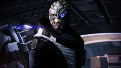 New Garrus Casual Outfit