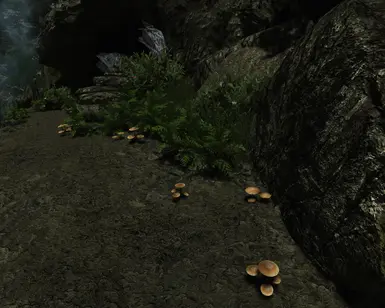 Default Tropical Shrooms - enb On