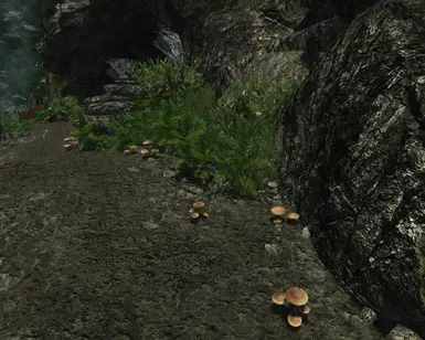 Darker Tropical Shrooms - enb Off