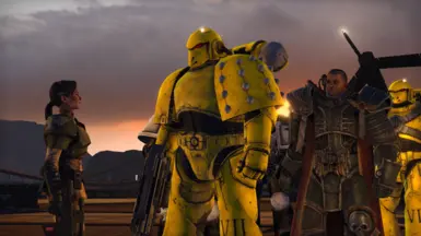 Imperial Fist Beakie Squad Skin