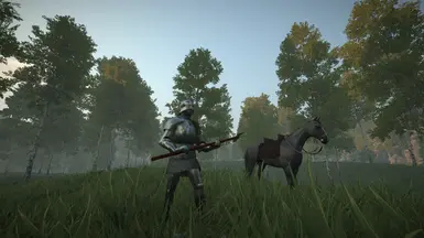 Medieval Armour and Weapons (1.0.x)