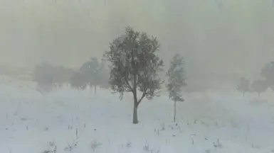 Heavy snow and heavy fog