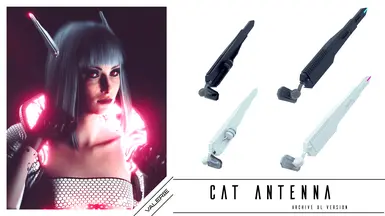 Cat Antenna Archive XL