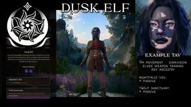 Dusk Elf