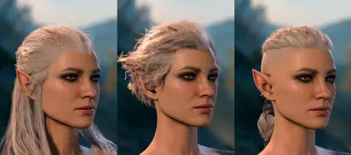 Other hairstyles affected by new texture (replacement version)