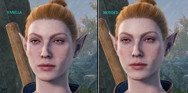 Comparison - Elf Female - Head 5