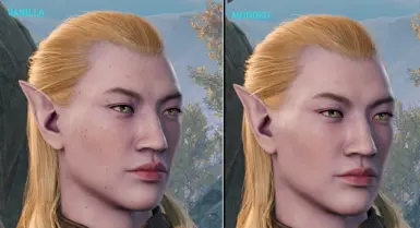 Comparison - Elf Male - Head 6