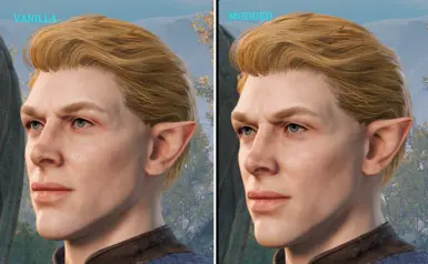 Comparison - Half-Elf Male - Head 4