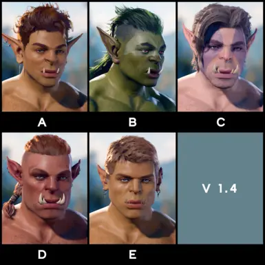 Body Type 2 Faces V1.4