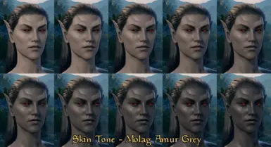 Skin Tones - Molag Amur Grey