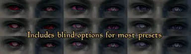 Eye Preset Blind Options