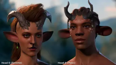 v2.9 - Heads 6