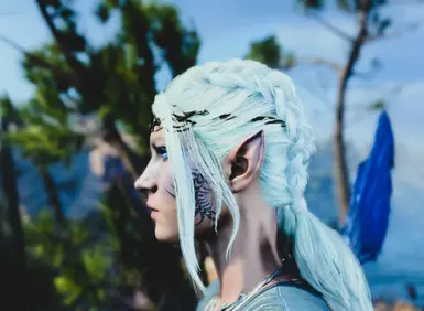 Eira The Frost Faerie 1