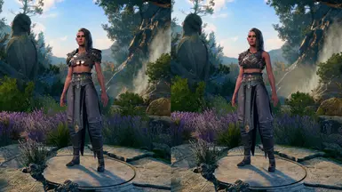 Variants with Jaheira's pants