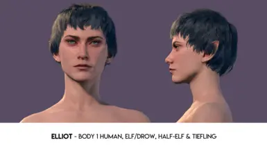 Elliot - Body 1 Human, Elf/Drow, Half-Elf, Tiefling