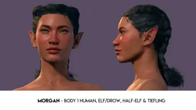 Morgan - Body 1 Human, Elf/Drow, Half-Elf, Tiefling