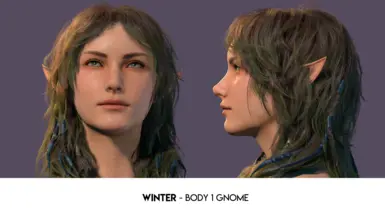 Winter - Body 1 Gnome