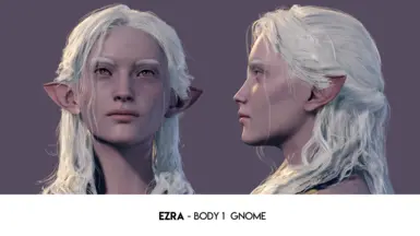 Ezra - Body 1 Gnome