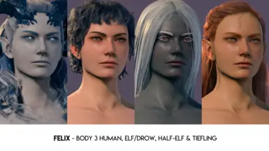 Felix - Body 3 Human, Elf/Drow, Half-Elf, Tiefling