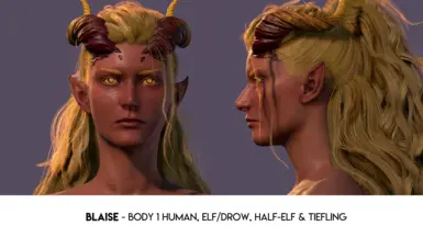 NEW! Blaise - Body 1 Human, Elf/Drow, Half-Elf, Tiefling